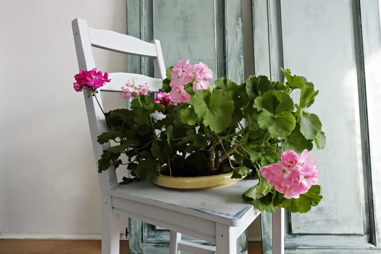 Jak zrobić kwietnik z krzesła - łatwe sposoby na stylową dekorację domu